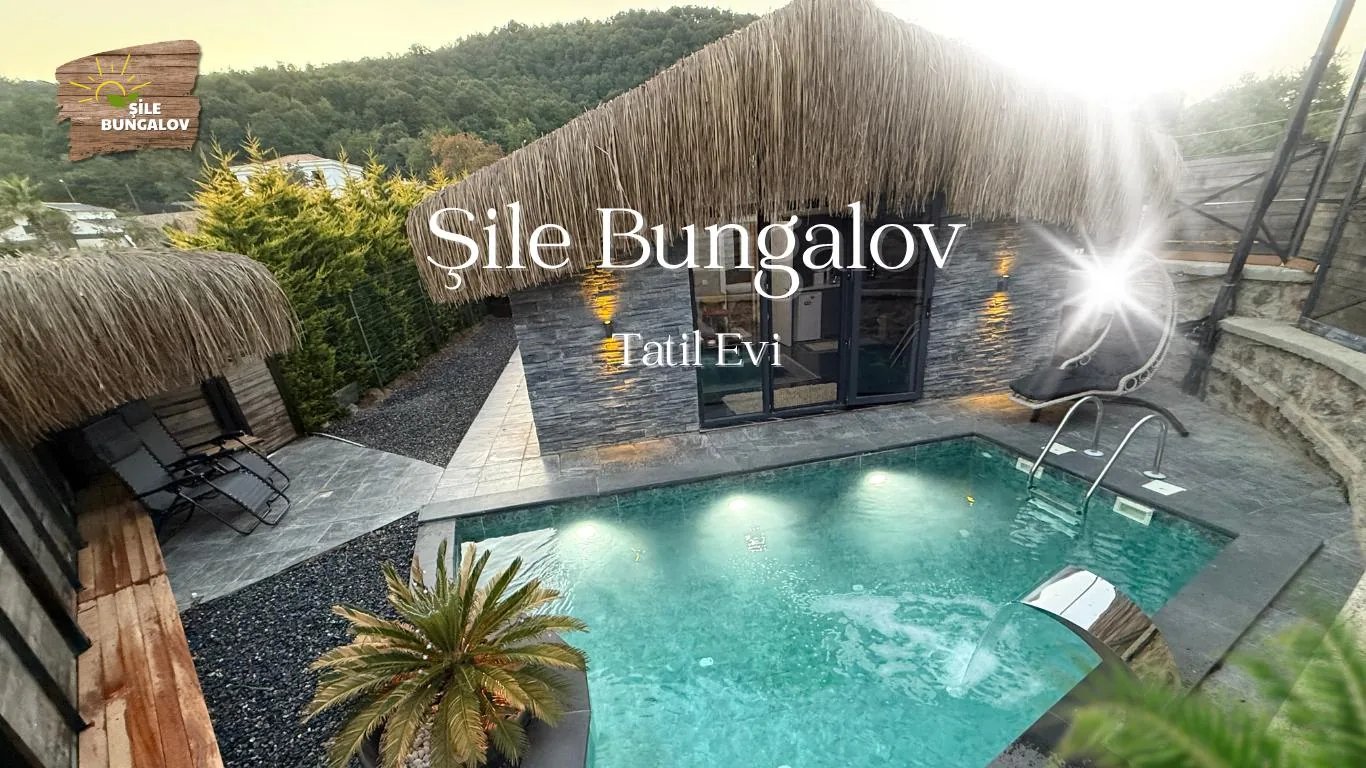 Şile kiralık bungalov oturma salonu - ahşap kirişli tavan ve kanepe grubu